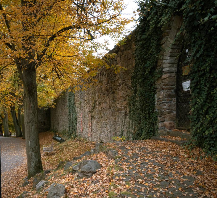 Štáflova bašta. Štáflova bašta.