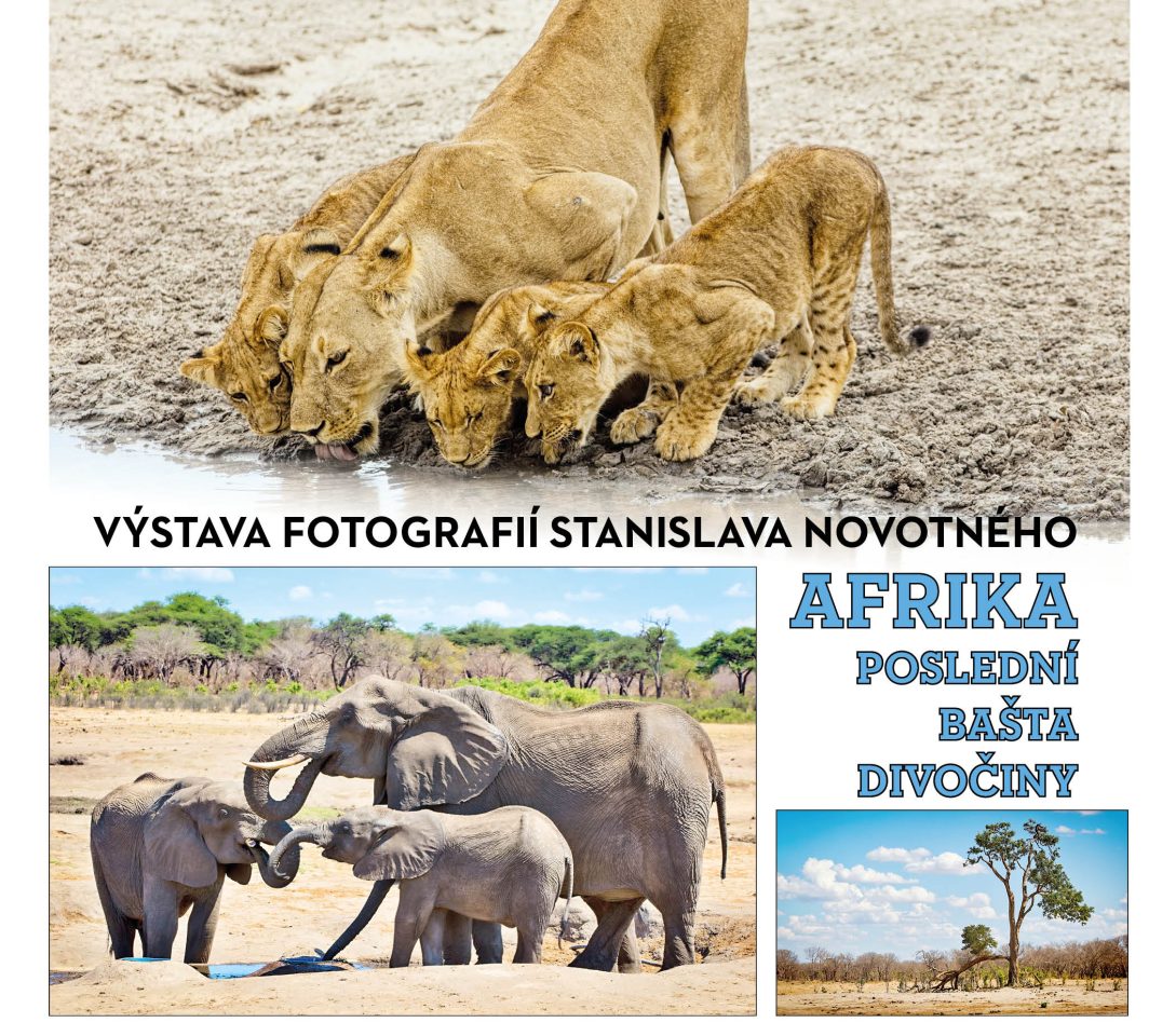Afrika – poslední bašta divočiny