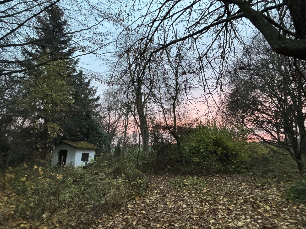 Zámek Petrkov - Slavnostní velikonoční koncert v Modrém pokoji.