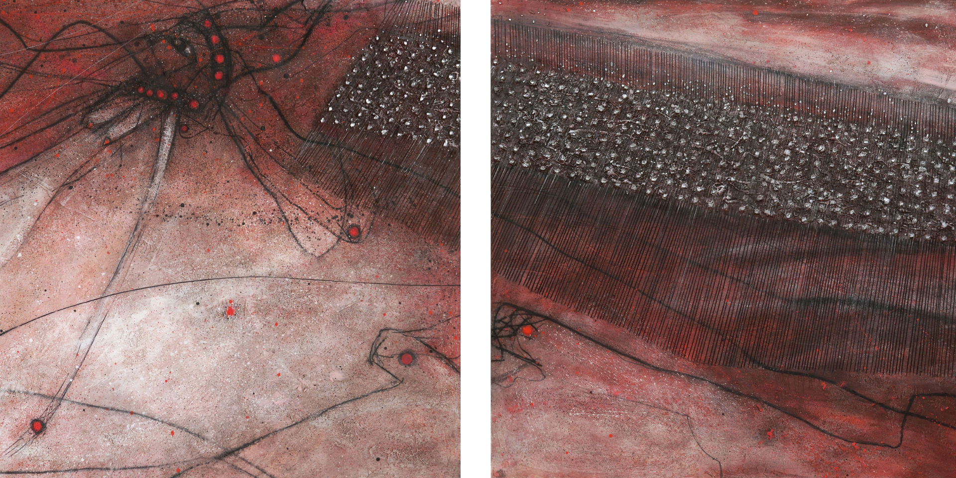 Bittr - komentovaná prohlídka výstavy