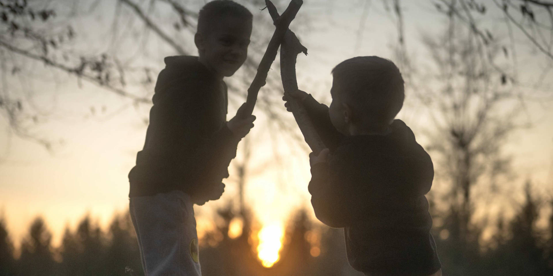 Zřícenina hradu Ronovec