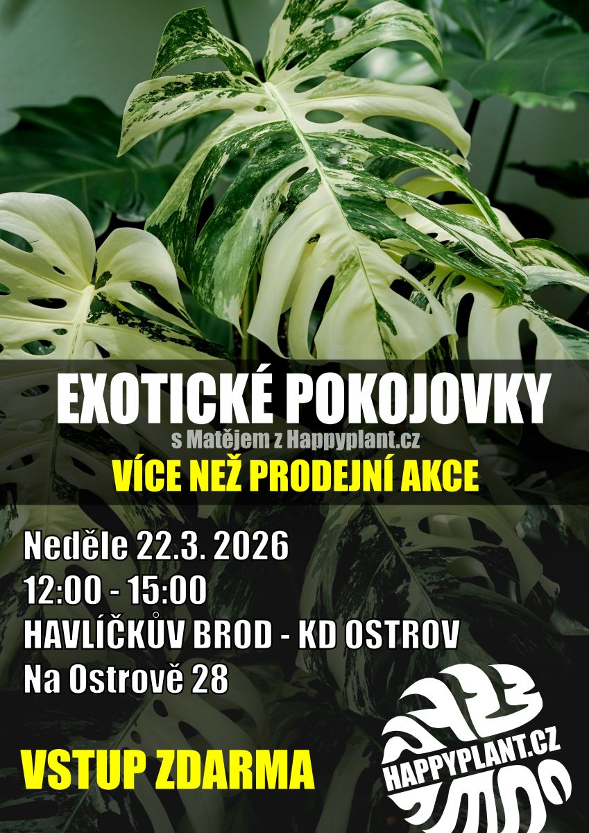 EXOTICKÉ POKOJOVKY