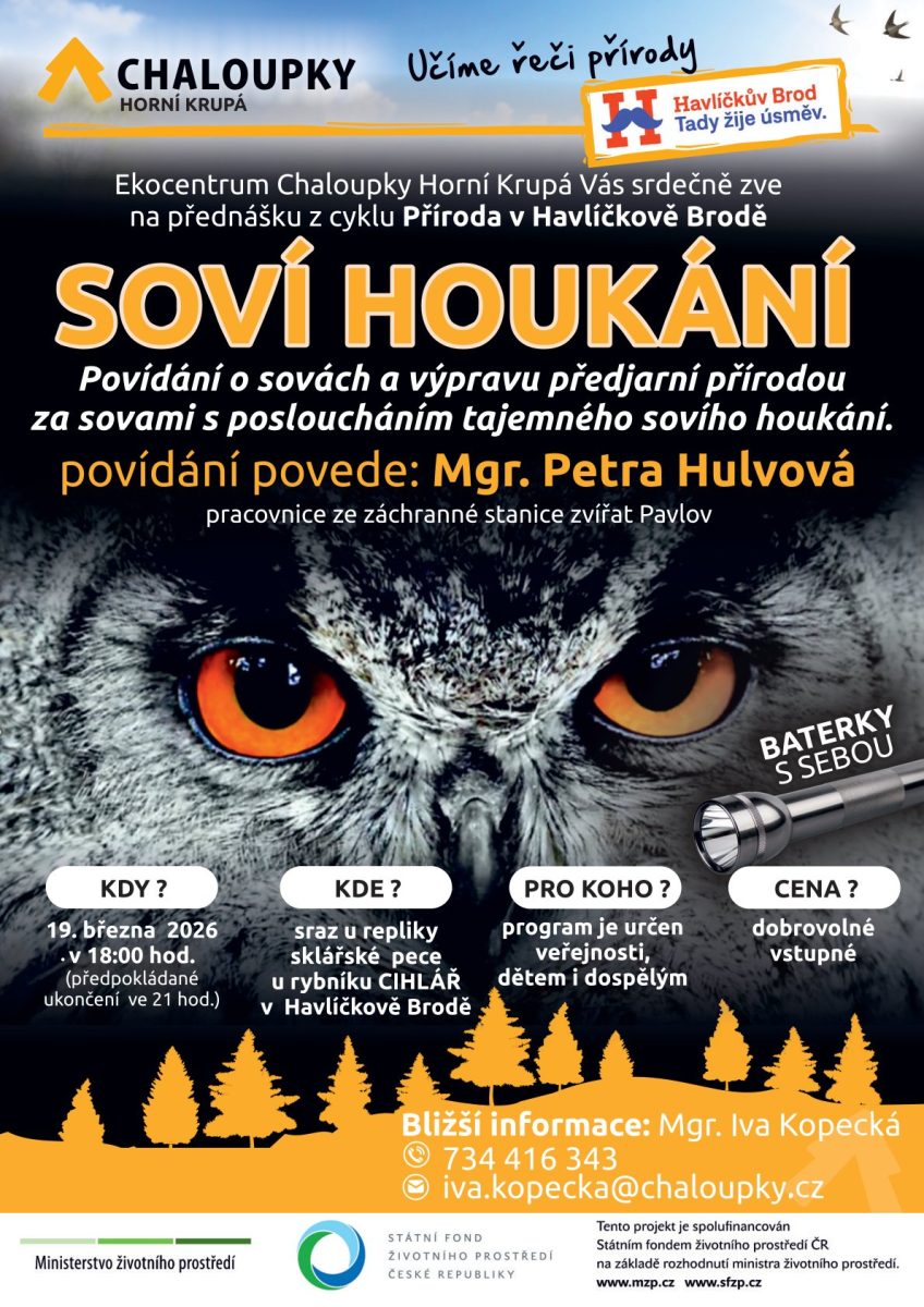 Soví houkání