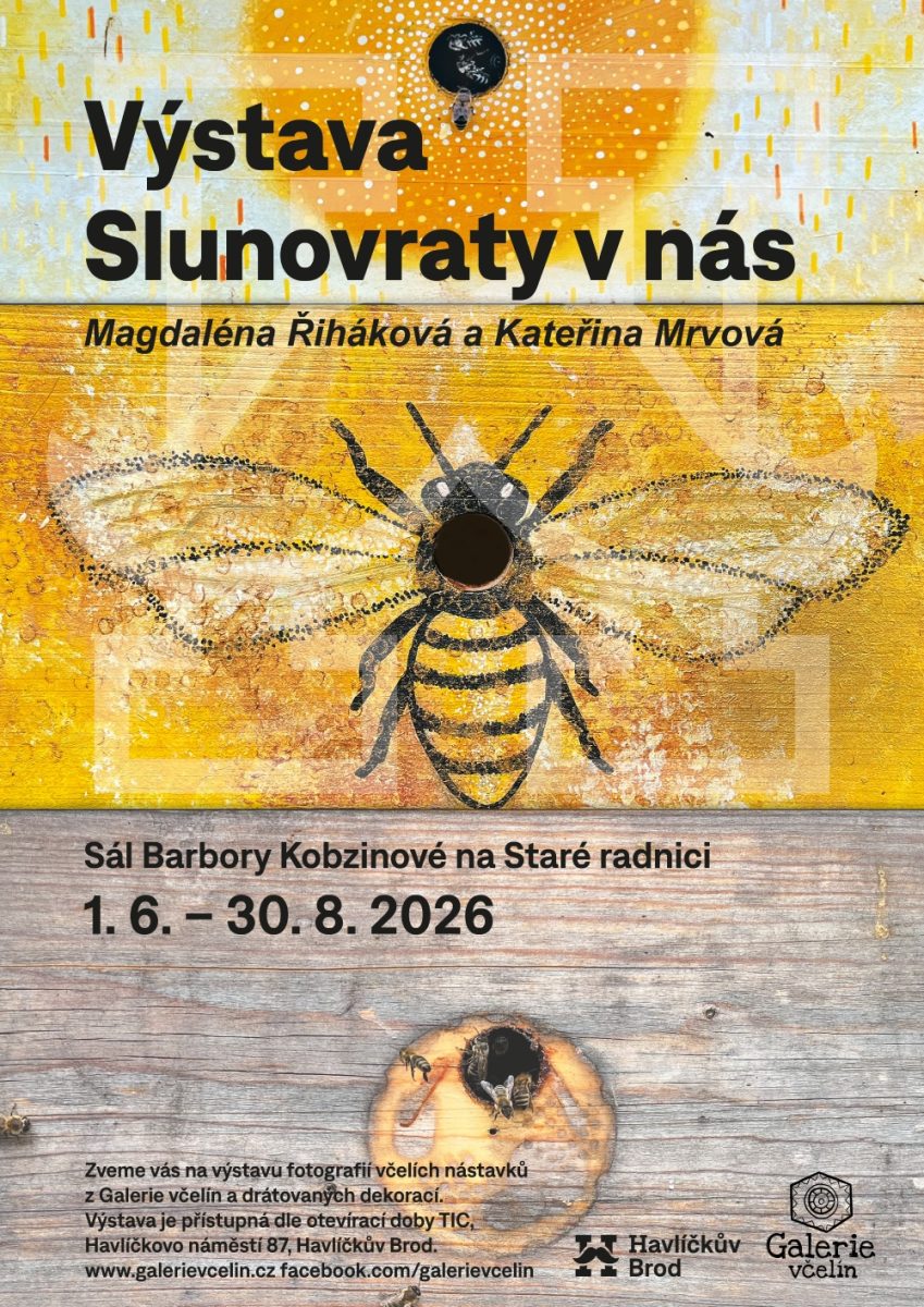 Komentovaná prohlídka výstavy
