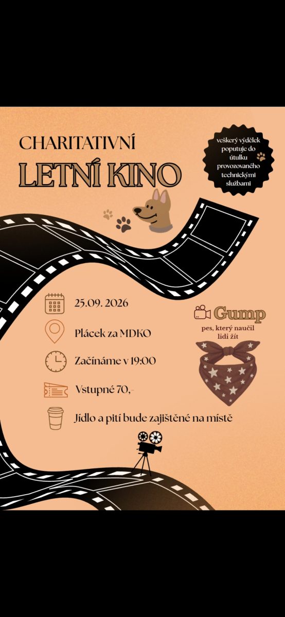 Charitativní letní kino