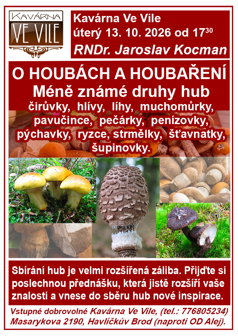 O HOUBÁCH A HOUBAŘENÍ - přednáška a rozpoznávání hub