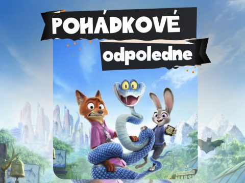 Fotografie č.1