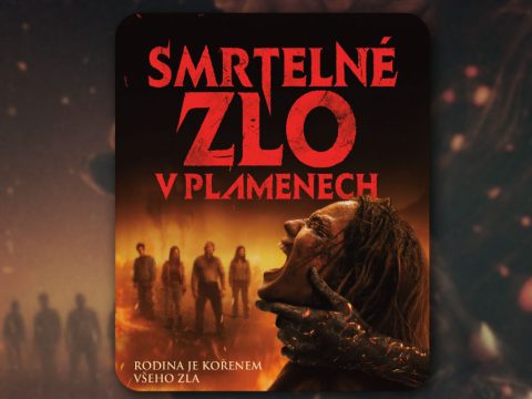 Fotografie č.1