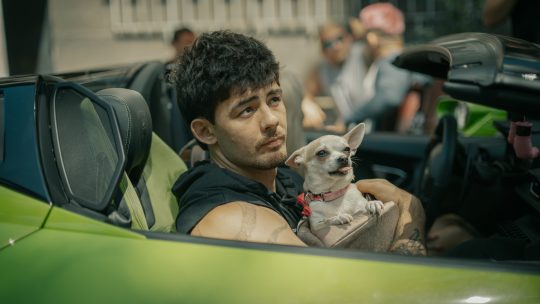 Fotografie č.8